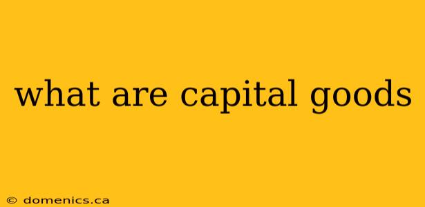 what are capital goods