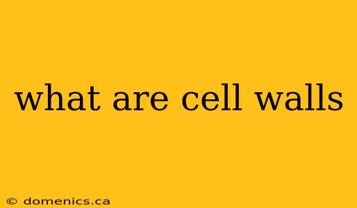 what are cell walls