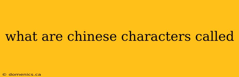 what are chinese characters called