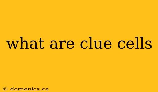 what are clue cells