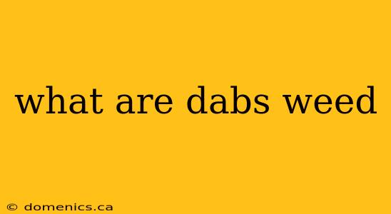 what are dabs weed