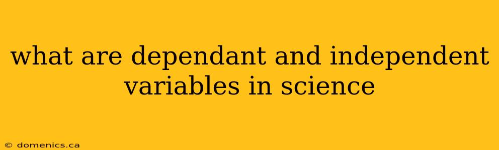 what are dependant and independent variables in science