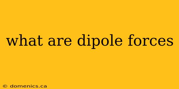 what are dipole forces