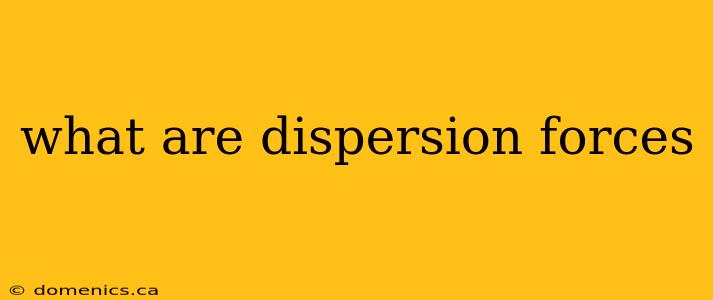 what are dispersion forces