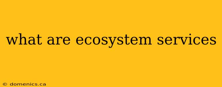 what are ecosystem services