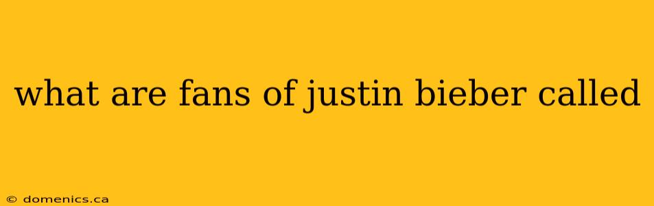 what are fans of justin bieber called