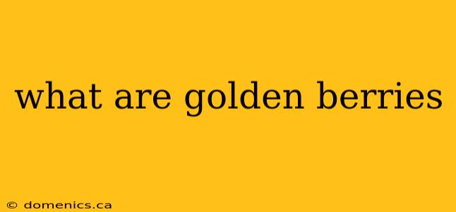 what are golden berries