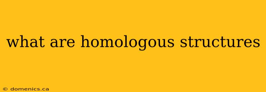 what are homologous structures