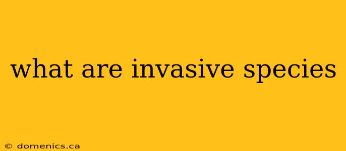 what are invasive species