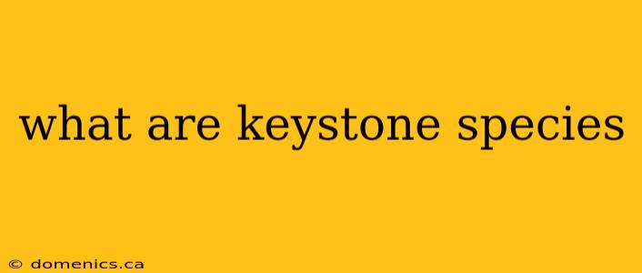 what are keystone species