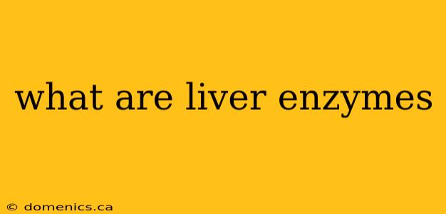 what are liver enzymes