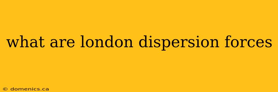 what are london dispersion forces