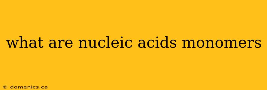 what are nucleic acids monomers