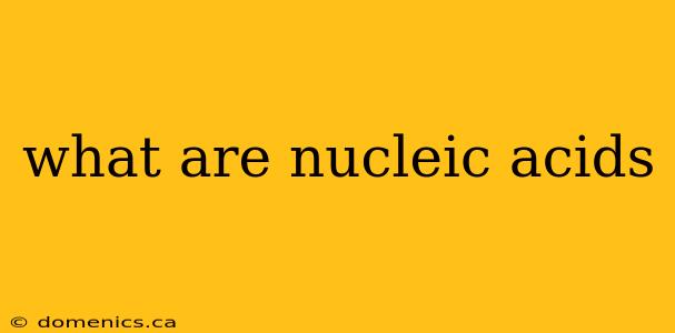 what are nucleic acids