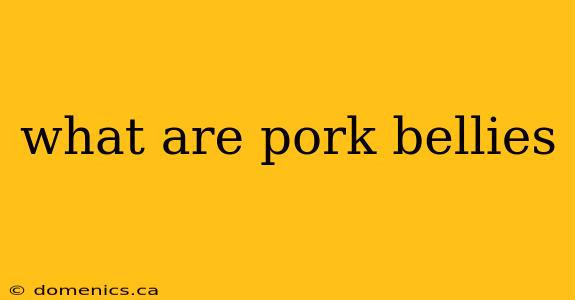 what are pork bellies