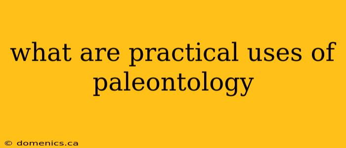 what are practical uses of paleontology