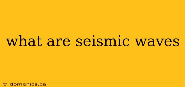 what are seismic waves