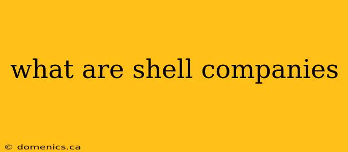 what are shell companies