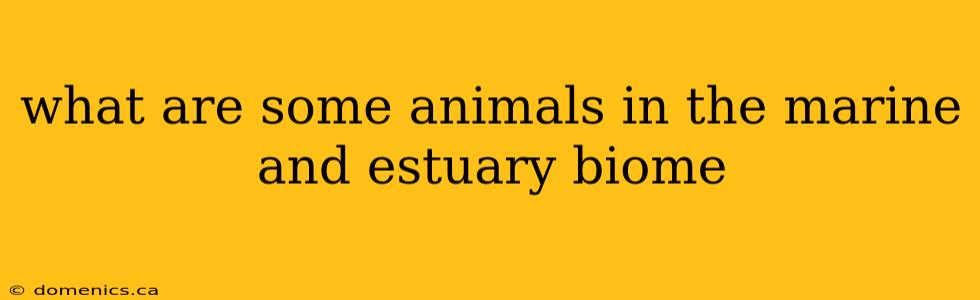 what are some animals in the marine and estuary biome