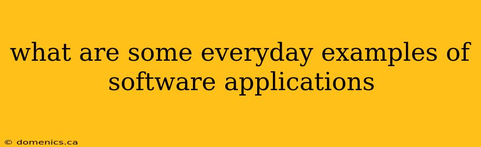 what are some everyday examples of software applications