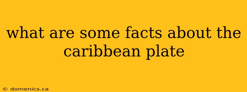 what are some facts about the caribbean plate