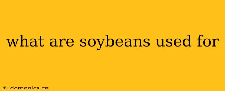 what are soybeans used for