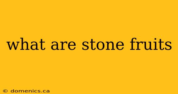 what are stone fruits