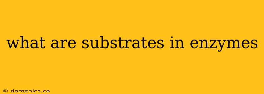 what are substrates in enzymes