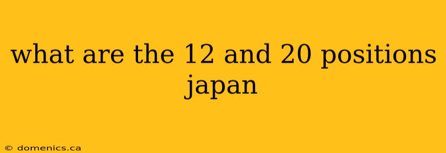 what are the 12 and 20 positions japan