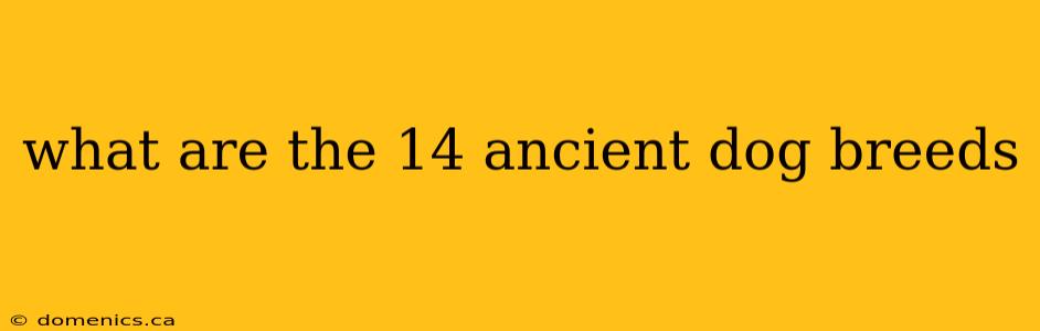 what are the 14 ancient dog breeds