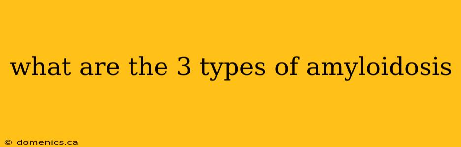 what are the 3 types of amyloidosis