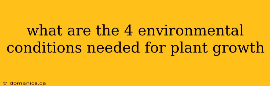 what are the 4 environmental conditions needed for plant growth