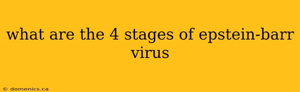 what are the 4 stages of epstein-barr virus