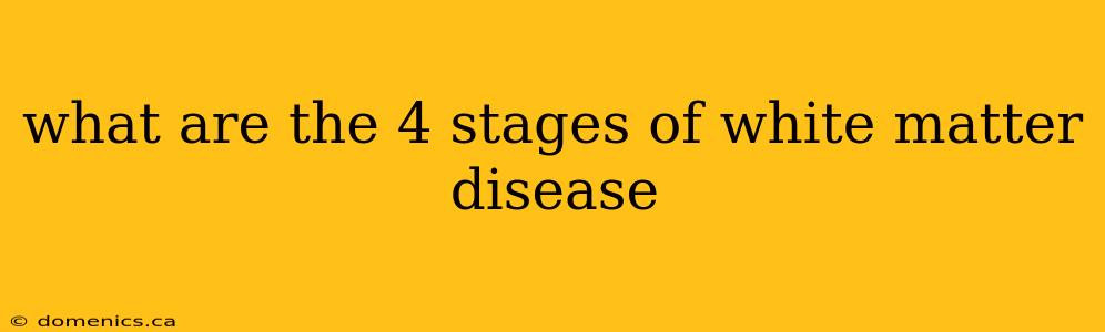 what are the 4 stages of white matter disease