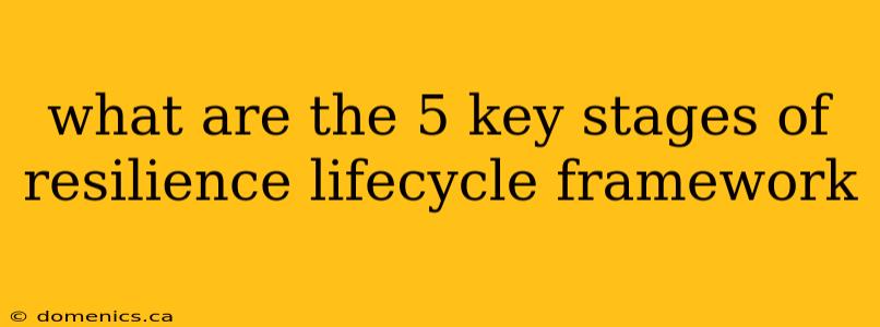 what are the 5 key stages of resilience lifecycle framework