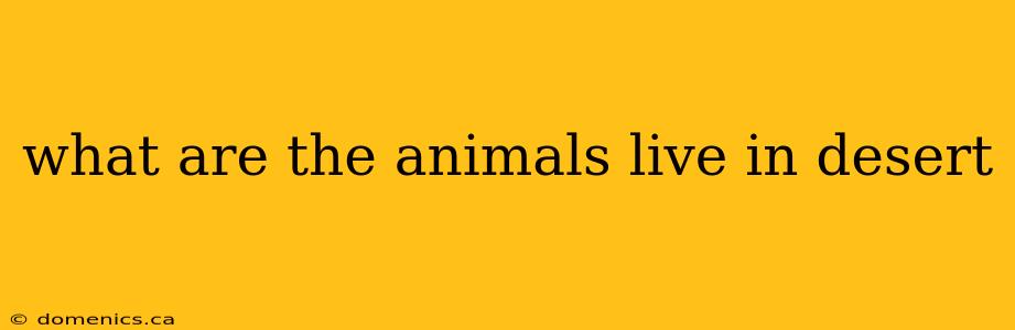 what are the animals live in desert