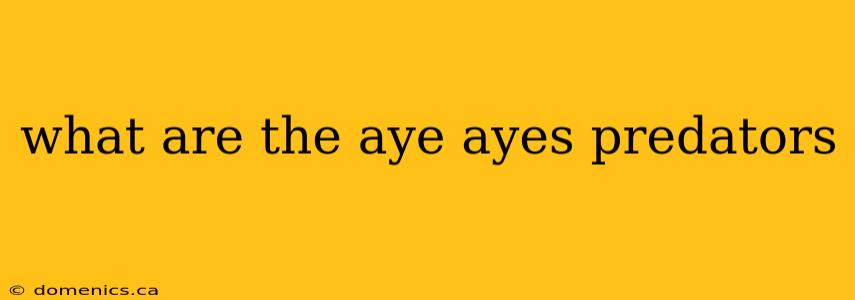 what are the aye ayes predators