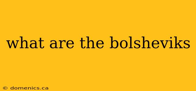 what are the bolsheviks