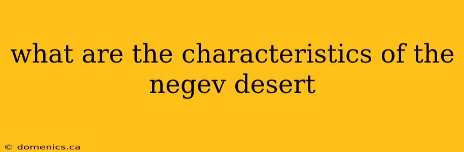 what are the characteristics of the negev desert