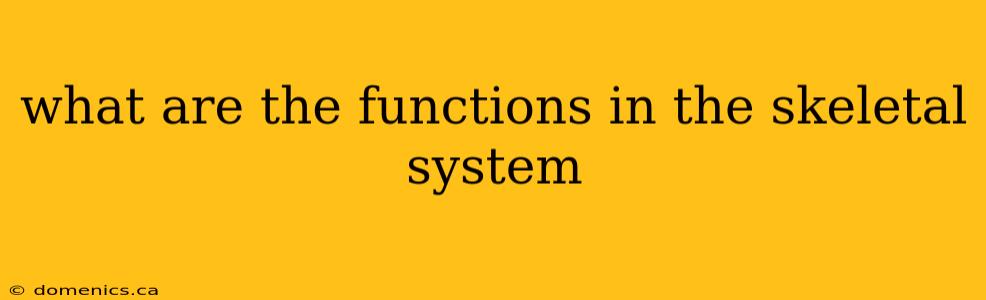 what are the functions in the skeletal system