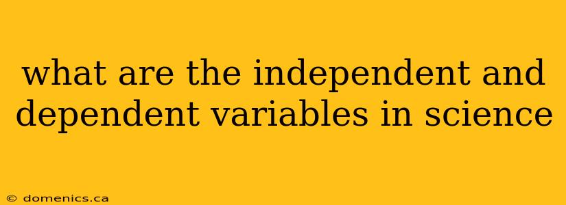 what are the independent and dependent variables in science