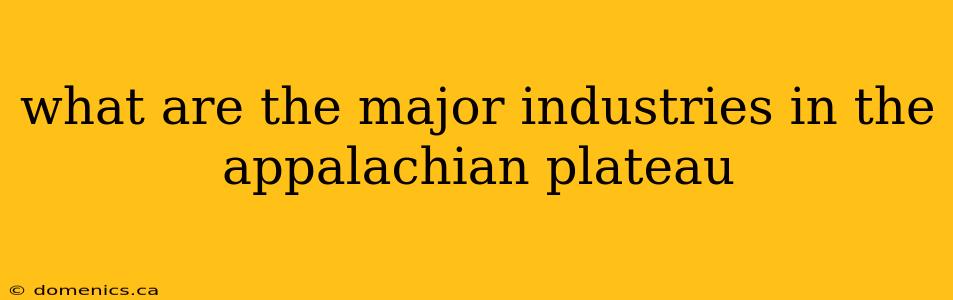 what are the major industries in the appalachian plateau