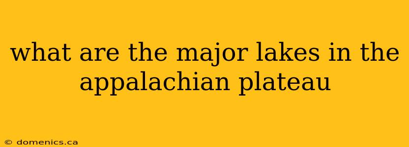 what are the major lakes in the appalachian plateau