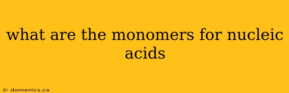 what are the monomers for nucleic acids