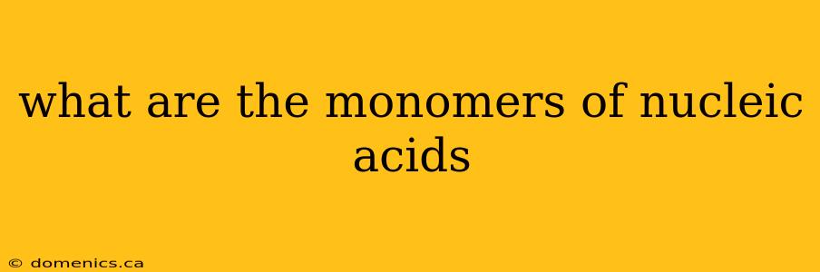 what are the monomers of nucleic acids