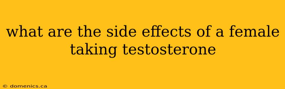 what are the side effects of a female taking testosterone