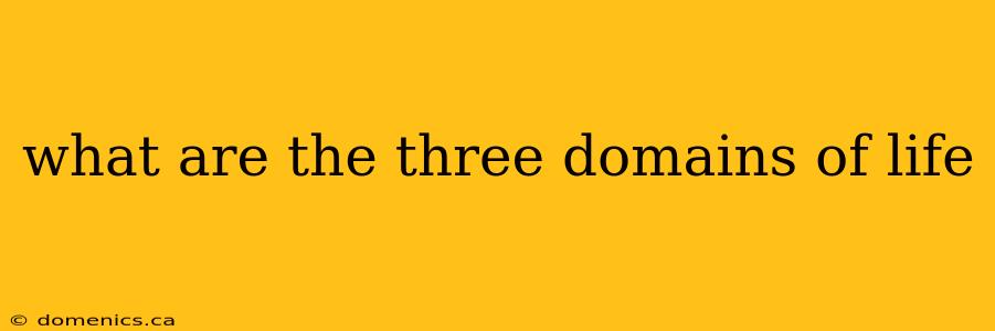 what are the three domains of life