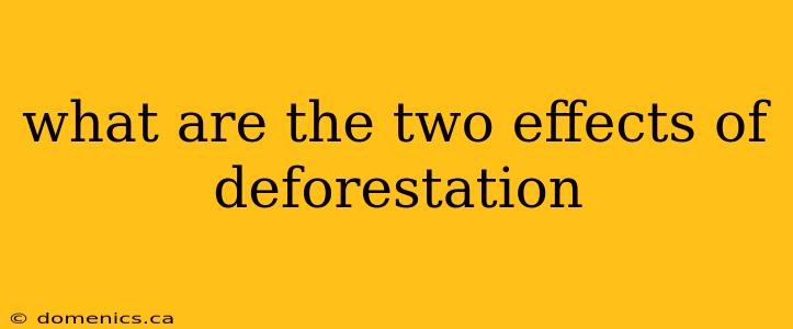 what are the two effects of deforestation