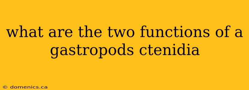 what are the two functions of a gastropods ctenidia