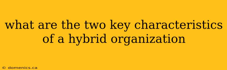 what are the two key characteristics of a hybrid organization